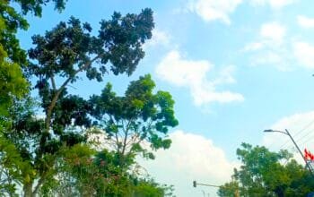 IMG 20260627 WA0013