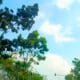 IMG 20260627 WA0013