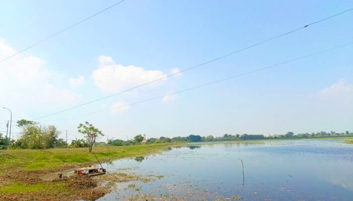 Prakiraan Cuaca Bojonegoro Minggu 28 Juni 2026, Seharian Didominasi Cuaca Cerah