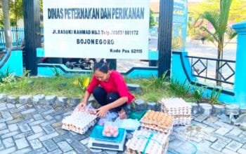 Program GAYATRI Bojonegoro Bantu Peternak Raup Pasar, Telur Dijual Langsung ke Masyarakat