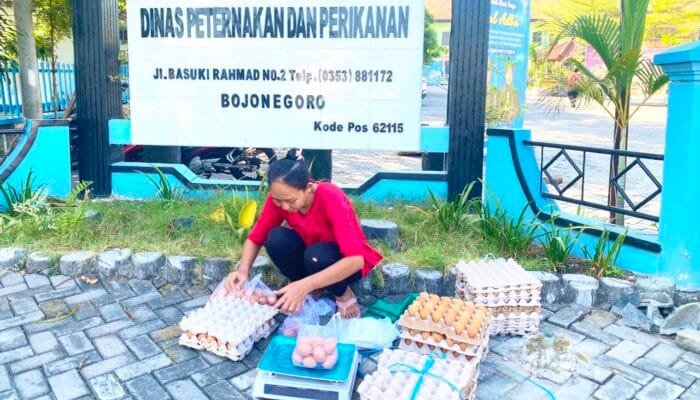 Program GAYATRI Bojonegoro Bantu Peternak Raup Pasar, Telur Dijual Langsung ke Masyarakat