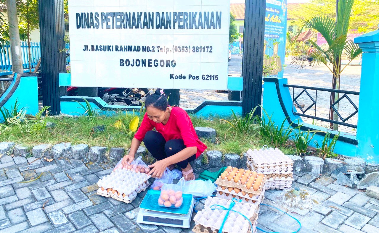 Program GAYATRI Bojonegoro Bantu Peternak Raup Pasar, Telur Dijual Langsung ke Masyarakat img 20260703 wa0031