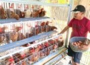CSR Disiapkan untuk Peternak GAYATRI Bojonegoro, Subsidi Pakan hingga Alat Pengolah Jadi Opsi