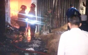Kebakaran Besar di Pasar Agrobis Babat Lamongan, Penyebab Masih Misterius