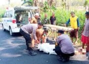 Tragedi di Jalan Sambeng–Ngimbang Lamongan, Pelajar Tewas dalam Tabrakan Maut