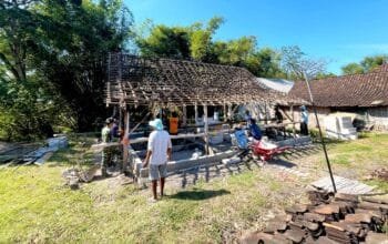 Satgas TMMD Bojonegoro Angkat Kerangka Rumah Mbah Kardo, Progres RTLH Makin Cepat