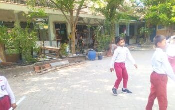 img 20260730 wa0012