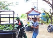 TMMD 129 Bojonegoro Bantu Warga Kesongo Tanam Sayuran, Wujud Nyata Kepedulian TNI