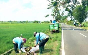 DLH Bojonegoro Bersihkan Titik Sampah Liar, Lingkungan Dibuat Lebih Asri img 20260801 wa0019