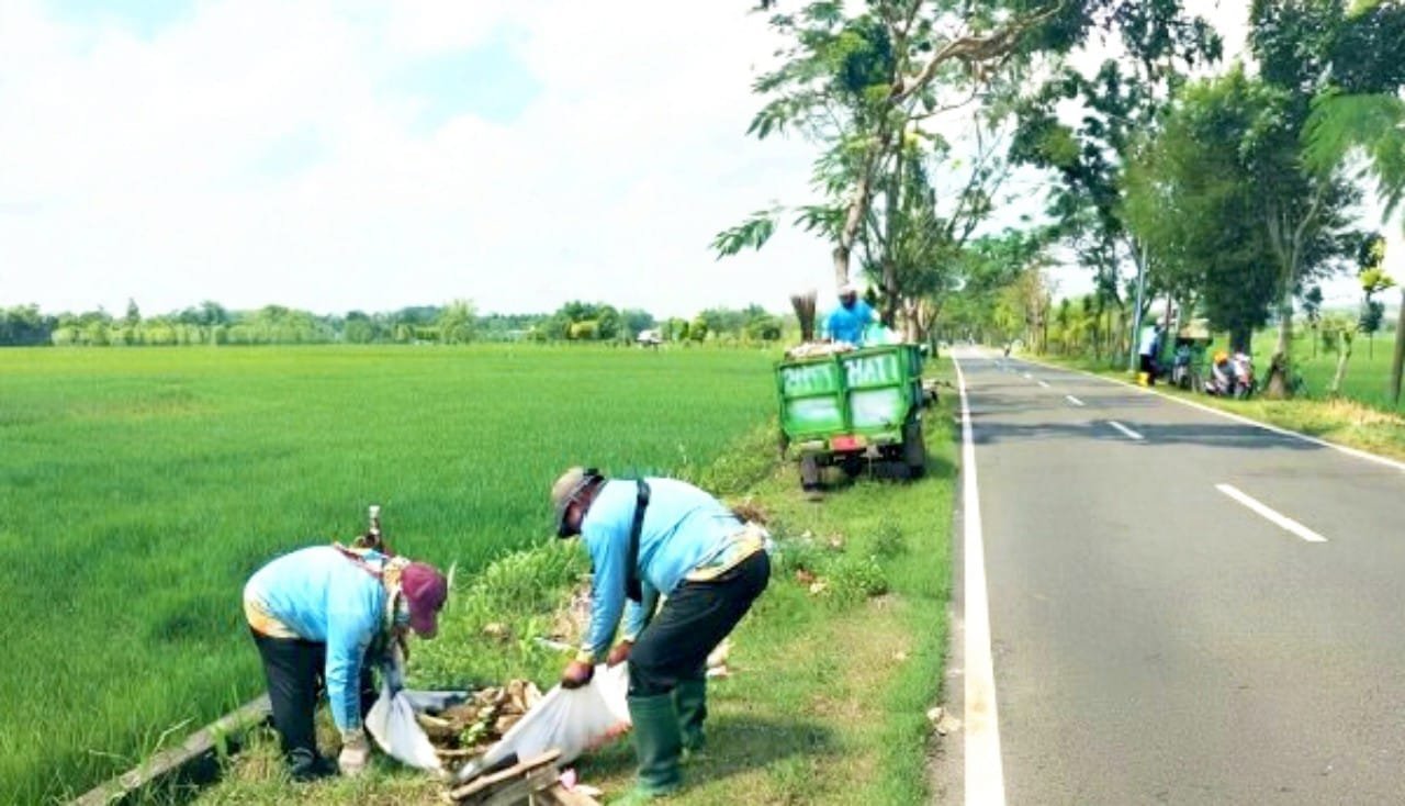 DLH Bojonegoro Bersihkan Titik Sampah Liar, Lingkungan Dibuat Lebih Asri img 20260801 wa0019