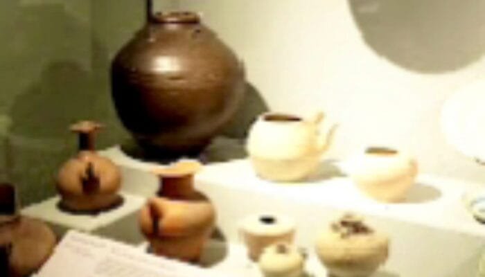 Fosil Purba hingga Peninggalan Hindu Buddha Tersimpan di Museum Rajekwesi Bojonegoro