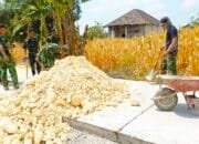TMMD ke 129 Bojonegoro Tak Abaikan Detail, Bahu Jalan Diratakan untuk Keamanan Pengendara