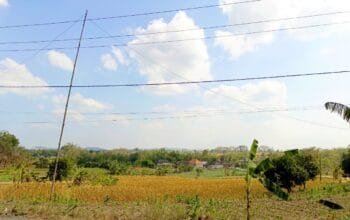 BPBD Bojonegoro Rilis Update Cuaca dan Debit Bengawan Solo, Ini Hasilnya img 20260807 wa0016