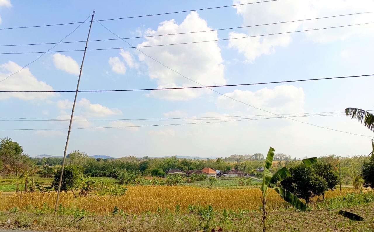 BPBD Bojonegoro Rilis Update Cuaca dan Debit Bengawan Solo, Ini Hasilnya img 20260807 wa0016