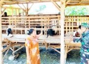 Aksi Humanis TMMD 129 Bojonegoro, Babinsa Kesongo Datangi Peternak Kambing