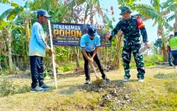TMMD Bojonegoro Gerakkan Penghijauan, 50 Bibit Ditanam di Kesongo