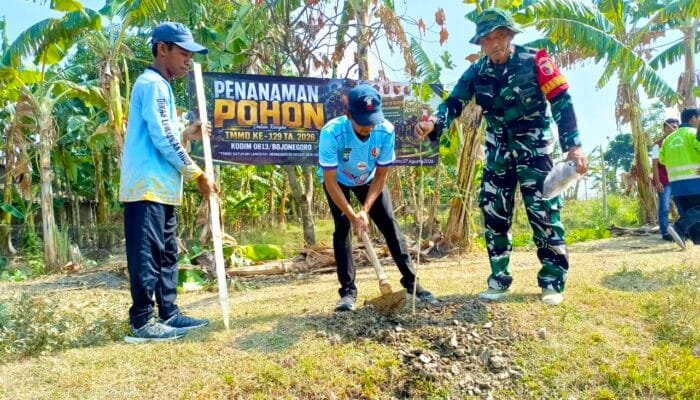 TMMD Bojonegoro Gerakkan Penghijauan, 50 Bibit Ditanam di Kesongo