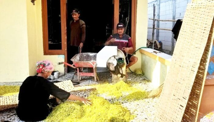 Tembakau di Bojonegoro Mulai Naik, Petani Kepoh Kepohbaru Mulai Lega