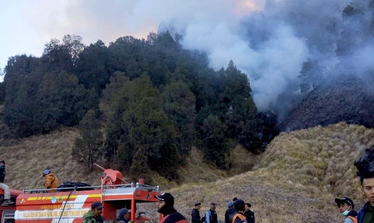 Tiga Helikopter BNPB Bombardir Titik Api Kebakaran Hutan dan Lahan Bromo, Jemplang Malang Aman img 20260810 wa0017