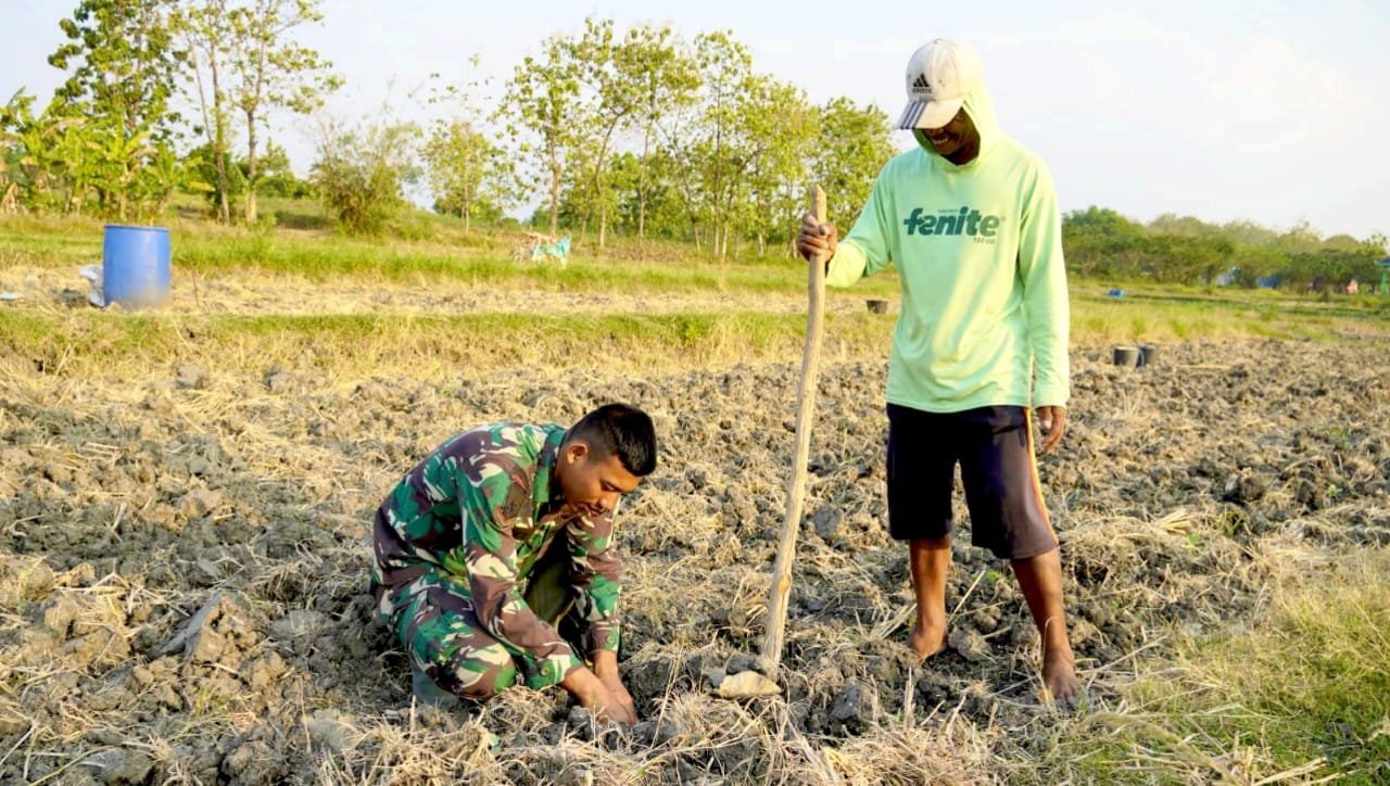 Serda Rizky Turun Sawah, Bukti TNI di TMMD Bojonegoro Dekat dengan Petani img 20260810 wa0030