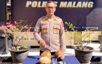 Pria di Gedangan Malang Aniaya Warga hingga Acak-Acak Rumah