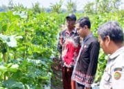 Petani Bojonegoro Ini Rancang Pertanian Sampai 7 Lantai