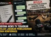 Krisna News TV Ungkap Proses di Balik Berita Sabung Ayam Karangduren Jember
