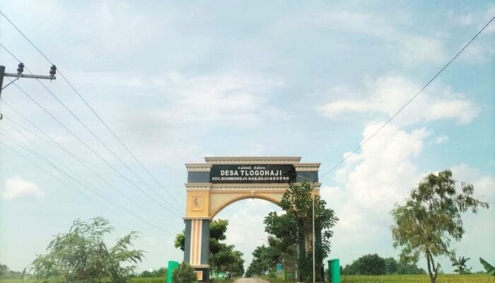 Info Cuaca Bojonegoro Hari Ini: Pagi Cerah Siang Mentereng Malam Siapkan Jaket