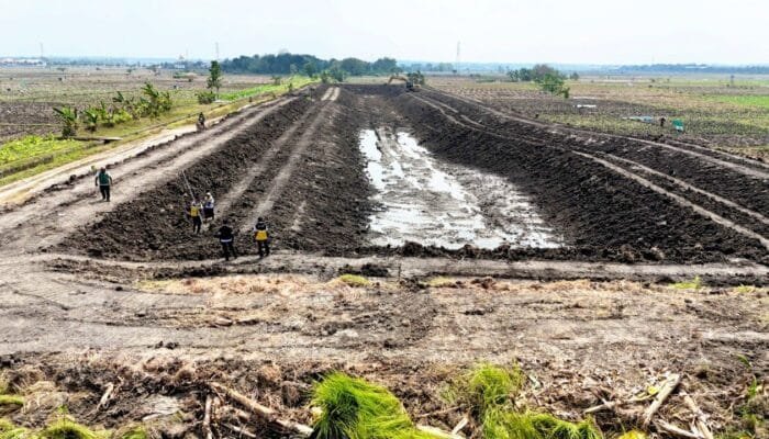 Bojonegoro Perkuat Embung Rowoglandang, Petani Bisa Bernapas Lega