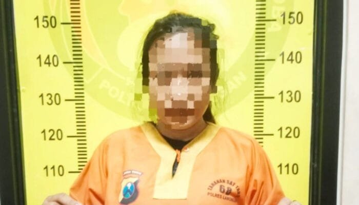 Polres Lamongan Bongkar Sindikat Sabu: 11 Orang Ditangkap, Termasuk Warga Surabaya dan Gresik