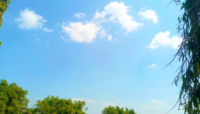 Bojonegoro Cerah Seharian, Suhu Siang Capai 32 Celcius