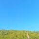 IMG 20260901 WA0002