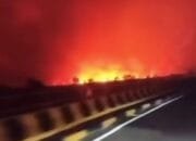 Tumbang Nusa Pulang Pisau  Dilanda Karhutla, Warga Sebut Langit Malam Bak Lautan Api