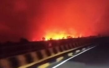 Tumbang Nusa Pulang Pisau  Dilanda Karhutla, Warga Sebut Langit Malam Bak Lautan Api