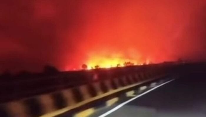 Tumbang Nusa Pulang Pisau  Dilanda Karhutla, Warga Sebut Langit Malam Bak Lautan Api