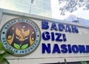 9 Penyedia Disebut Dapat Paket LED BGN, Totalnya Rp535 Miliar