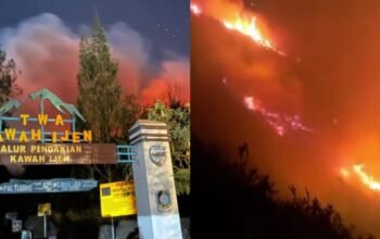 Karhutla Merambat ke TWA Kawah Ijen Banyuwangi, Ini Alasan Penutupan