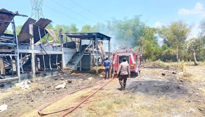 Diduga Korsleting, Kandang Ayam di Mantup Lamongan Terbakar