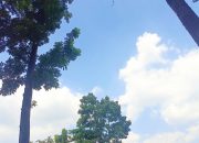 Langit Bojonegoro Cerah, Suhu Siang Hari Diprediksi 35°C