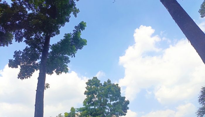 Langit Bojonegoro Cerah, Suhu Siang Hari Diprediksi 35°C