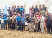 Tebu Laren Lamongan Diremajakan, TNI Polri Ikut Turun Tangan
