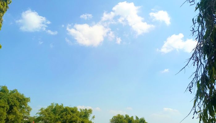 Hari Ini Bojonegoro Cerah, Suhu Siang Mencapai 36 Derajat