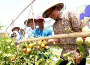 Dari Agroforestry Sukoharjo, Bojonegoro Perkuat Ketahanan Pangan