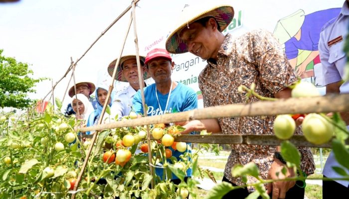 Dari Agroforestry Sukoharjo, Bojonegoro Perkuat Ketahanan Pangan