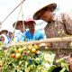 Dari Agroforestry Sukoharjo, Bojonegoro Perkuat Ketahanan Pangan