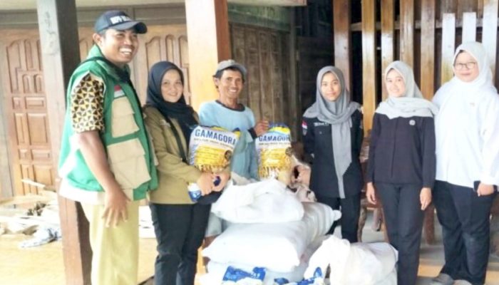 Bojonegoro Siapkan 592 Ton Benih Padi, Ini Rincian Bantuan 2026