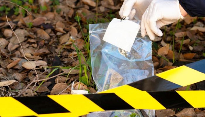 Bareskrim Gerebek 9 Lokasi Narkoba di Sumut, 36 Orang Diamankan