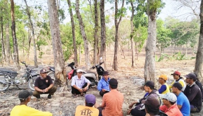 Perhutani Bojonegoro dan LMDH Gangsen Lestari Bersinergi, Garapan Liar di Temayang Ditertibkan