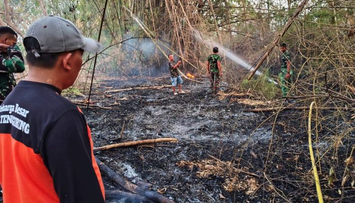 Gerak Cepat Babinsa dan Damkar, Kebakaran Lahan di Lamongan Berhasil Dikendalikan