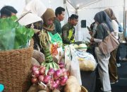 Dari Sawah ke Supermarket, Petani Bojonegoro Dapat Peluang Pasar Baru